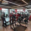 디나휘트니스 이미지