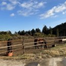 리오목장 이미지