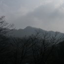 대봉세월교 Daum카페