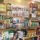 펫 매니저 이미지