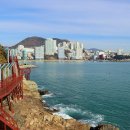 암남공원 이미지