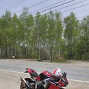 CBR1000RR SP 18&#34; 판매. 이미지