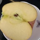 처갓집양념치킨 과천점 | 마운자로 13주차 후기 | 마운자로 7.5mg 1주차 | 체중 변화, 식욕, 컨디션 총정리