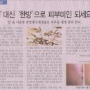 한방미인 네이버블로그