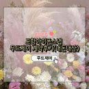 더 제이무드 | w3. 포항아이폰스냅 무드제이 계약후기(내돈내산)