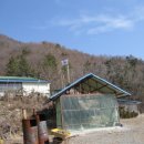 연탄리2구 마을회관 네이버블로그