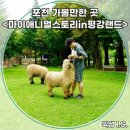 하이애니멀샵 | 포천 가볼만한곳 마이애니멀스토리 in 평강랜드, 동물과 교감한 가족 나들이 후기