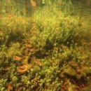 물속풍경 이미지