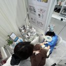 성수동물병원 | 건강한 발을 위한 푸스케어 성수뚝섬점 발톱무좀 케어후기