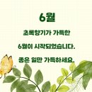 ★웃음꽃 가득한 하루★ 이미지