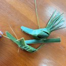 블루클럽 | 나트랑 래디슨블루 키즈클럽 Splash 이용후기 시간표 위치