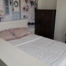 고성국화꽃향기 이미지