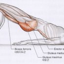 바나나 짐 이미지