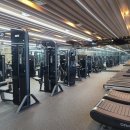 스파렉스 이미지