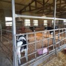 지제목장 이미지