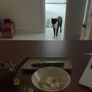 씨유 구산동점 | 블챌과 이별..막이러시구