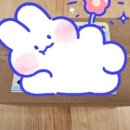 (주)셀비오 이미지