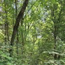 오금상촌공원 화장실 이미지