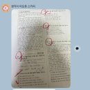 정자중학교 | 정자중 2학년 영어 내신 10점대 상승 후기!