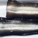 천년수산