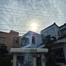 CAFE끌림 | 치플레 광안리 솔직 후기 광안리카페 디저트 맛집 찾는다면 (Busan Cafe Review)