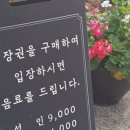 아라애견 이미지