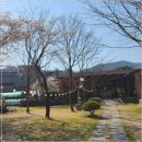 가나안식당 이미지