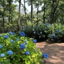 물결속으로 이미지