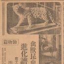 경성과학 이미지