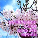 금요일 행복하세요 / 인사말 이미지 이미지