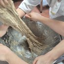 [예순여섯 번째 기록] 만우절이라 지각을 좀 해봤음니다..