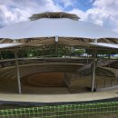 자인계정숲(씨름장) 이미지