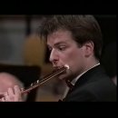 모차르트 '플룻과 하프를 위한 협주곡' 이곡은 모차르트 작품으로서 특유의 어두움을 가지고 있지 않으며 중요한 가락을 거의 대부분 밝은 이미지