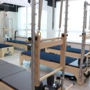 머슬 인 이미지