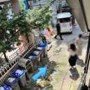 진선약국 이미지