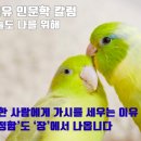 도 장 네이버블로그