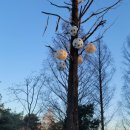 여주 마조렐글램핑리조트 이미지