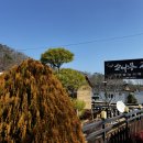 주전토종닭백숙 이미지