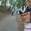 고향의봄길 이미지