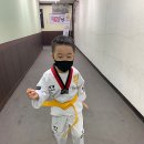 경희대선덕태권도장 이미지