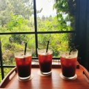 노형미리내공원 | 제주 동물 카페 / 미스틱3도