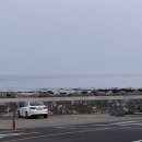 당일바리강정호 | 제주 캐슬렉스cc 라운딩 후기