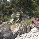 야호캠프 이미지