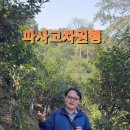 파사 이미지