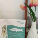 (주)조이셀 이미지