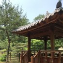 NR-40[성주산로]-하-30 | 6월 가볼만한 곳 아이와 가기 좋은 보령 무궁화수목원