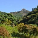 진해청소년수련원 이미지