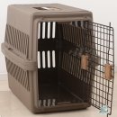 샤인트래블 이미지