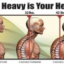 더에스핏 이미지