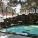 무주읍185 이미지